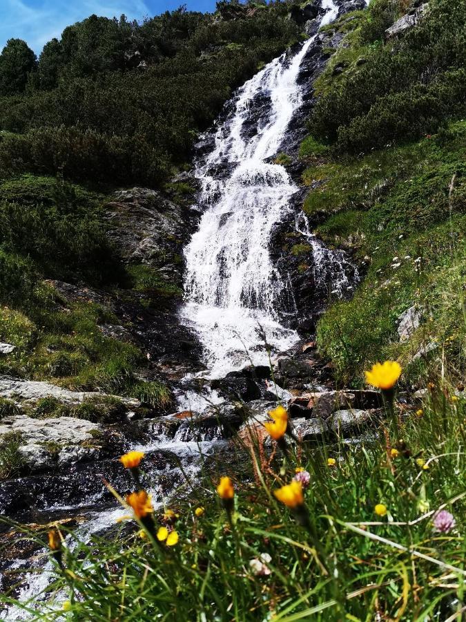 Pension Bergwelt Neustift im Stubaital Exterior foto