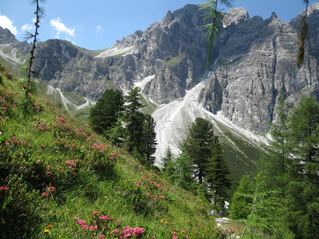 Pension Bergwelt Neustift im Stubaital Exterior foto